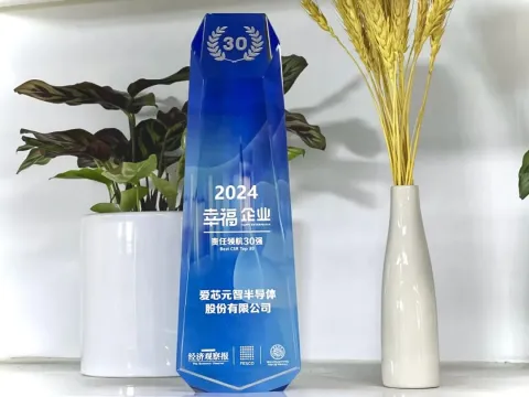 爱芯元智荣获“2024幸福企业百强榜责任领航30强”